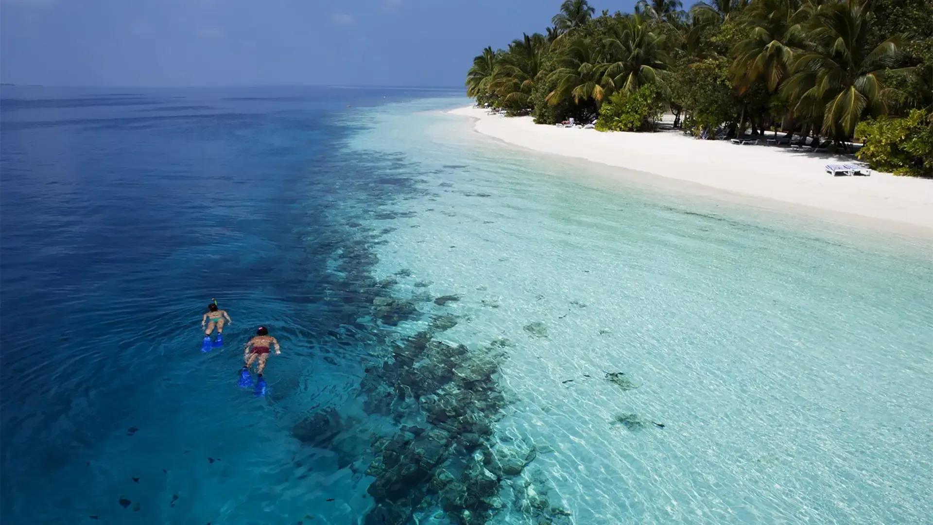 Двое снорклят вдоль кромки рифа в нескольких метрах от белого пляжа Vilamendhoo, атолл Ари