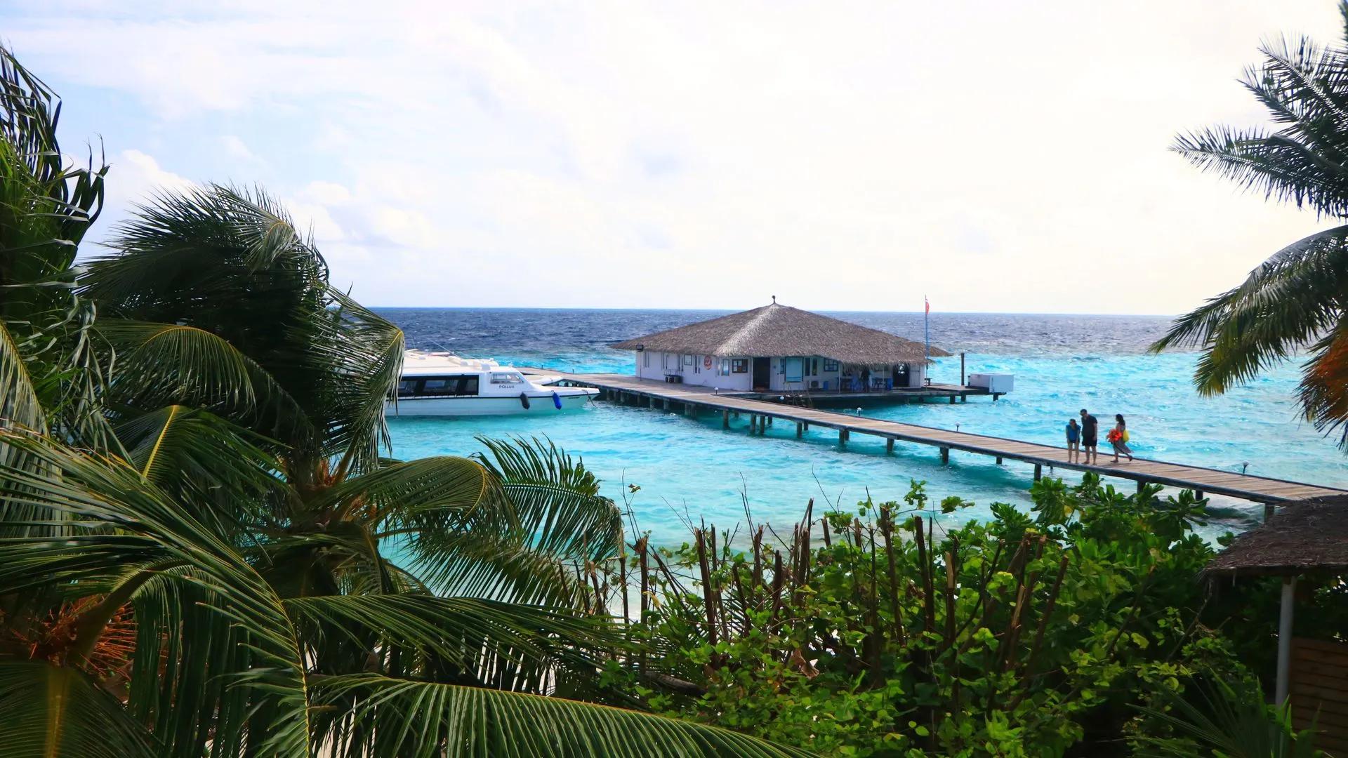 Скоростной катер у длинного деревянного пирса, вид сквозь пальмы, Eri Maldives