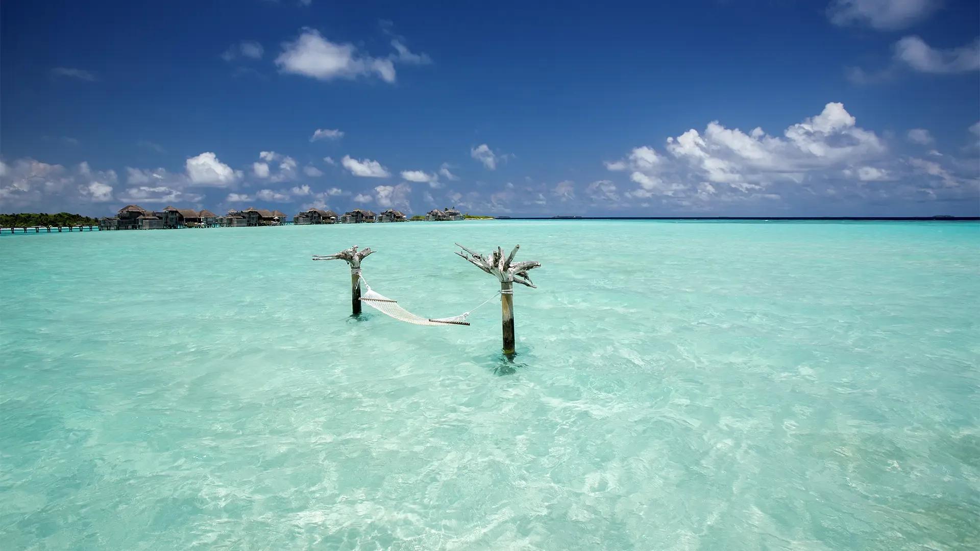 Гамак над мелкой бирюзовой лагуной Gili Lankanfushi Maldives, атолл Каафу