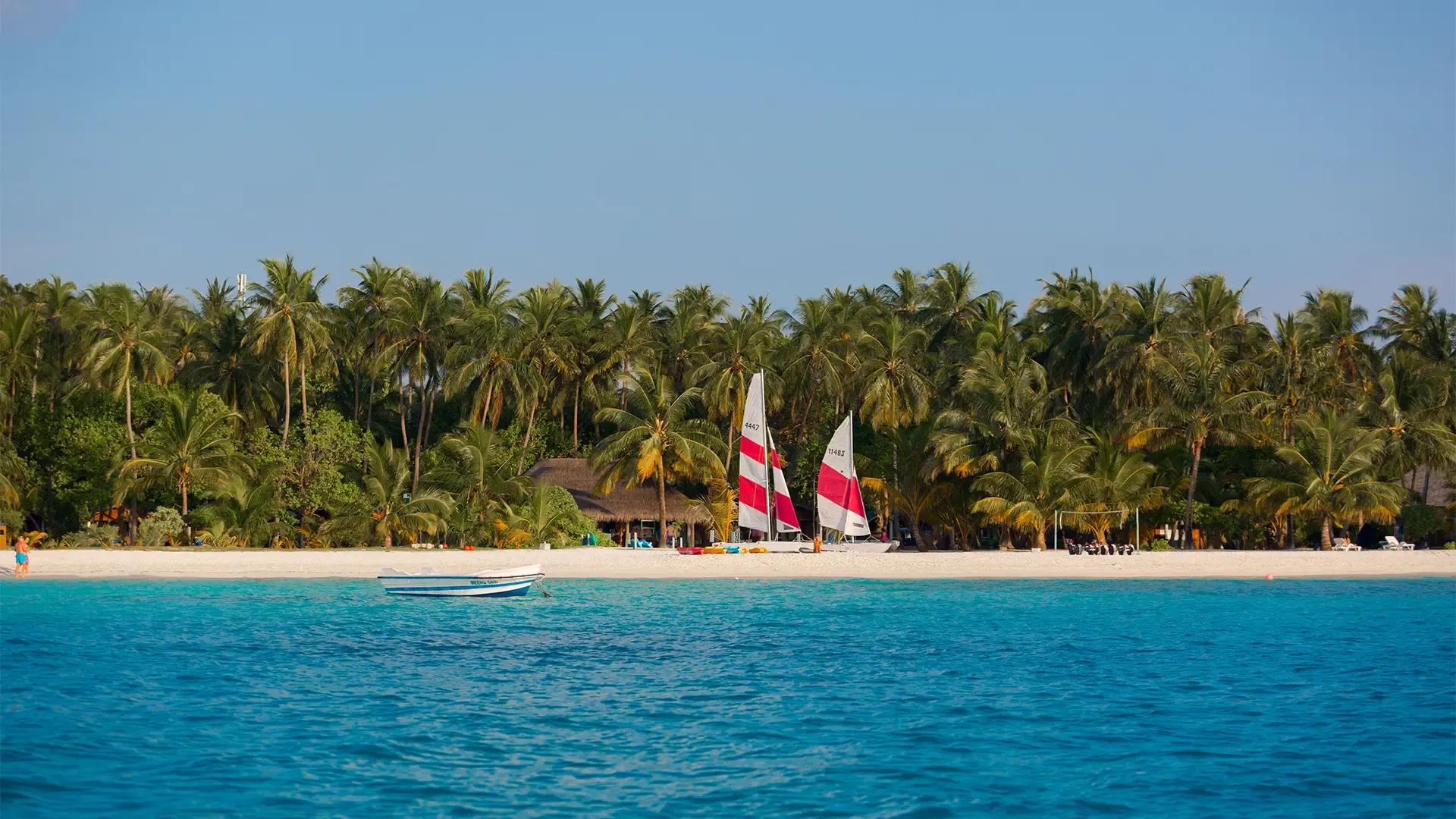 Белый пляж с катамаранами под пальмами, вид с лагуны, Meeru Island Resort & Spa