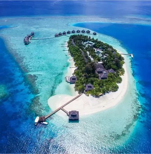 image-https://maldivus.ru/media/hotels/1/image/520x530/adaaran-club-rannalhi-4-hotel-33492.webp