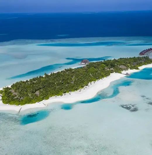 image-https://maldivus.ru/media/hotels/10/image/520x530/anantara-dhigu-maldives-resort-5-hotel-33694.webp