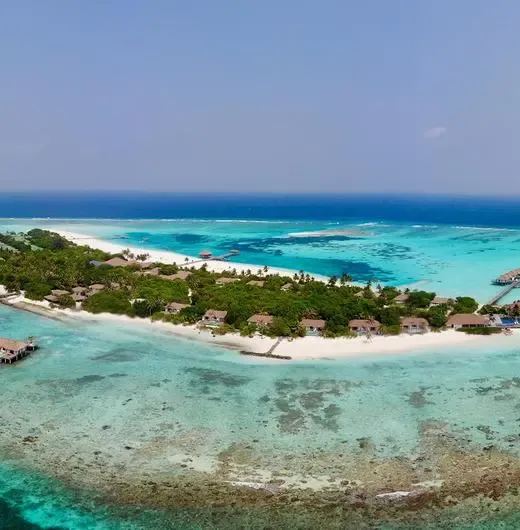 image-https://maldivus.ru/media/hotels/103/image/520x530/noku-maldives-5-hotel-48364.webp