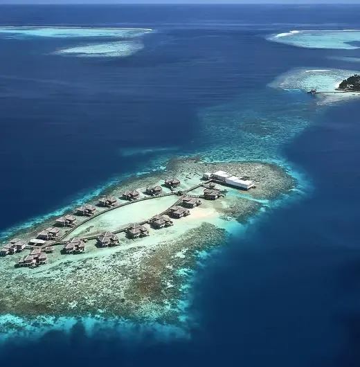 image-https://maldivus.ru/media/hotels/115/image/520x530/raffles-maldives-meradhoo-5-hotel-45305.webp