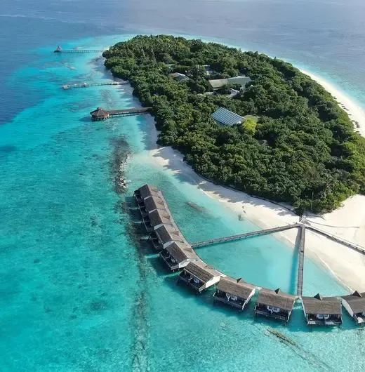 image-https://maldivus.ru/media/hotels/117/image/520x530/reethi-beach-resort-4-hotel-97814.webp