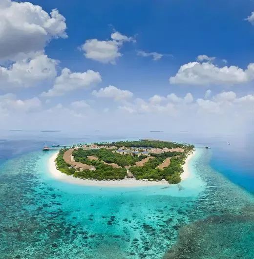 image-https://maldivus.ru/media/hotels/118/image/520x530/reethi-faru-resort-4-hotel-54190.webp