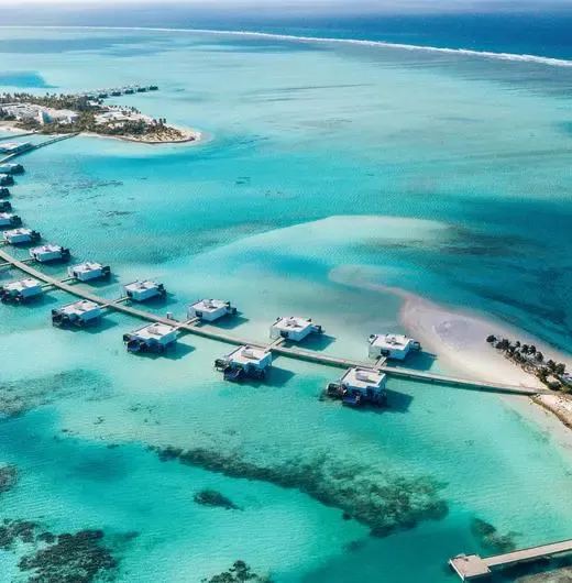 image-https://maldivus.ru/media/hotels/121/image/520x530/riu-palace-maldivas-5-hotel-38286.webp