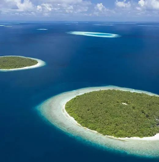 image-https://maldivus.ru/media/hotels/124/image/520x530/royal-island-resort-spa-5-hotel-90918.webp