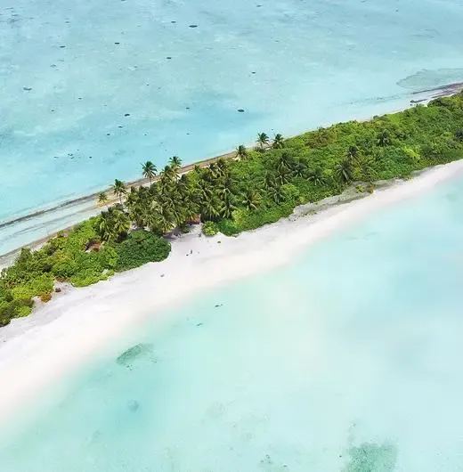 image-https://maldivus.ru/media/hotels/130/image/520x530/six-senses-laamu-5-hotel-40272.webp