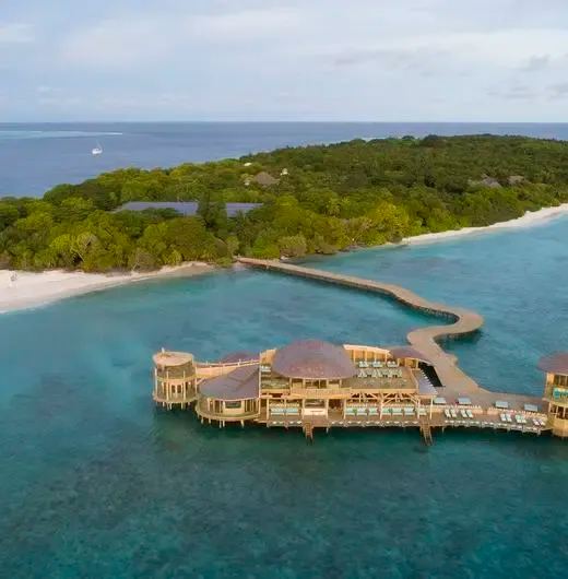 image-https://maldivus.ru/media/hotels/131/image/520x530/soneva-fushi-5-hotel-99019.webp