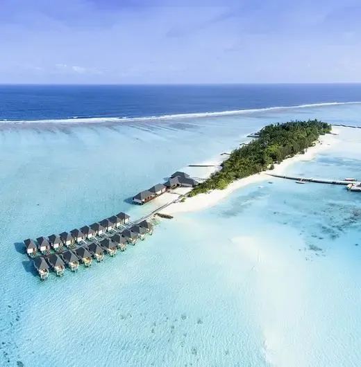 image-https://maldivus.ru/media/hotels/134/image/520x530/summer-island-maldives-4-hotel-79725.webp