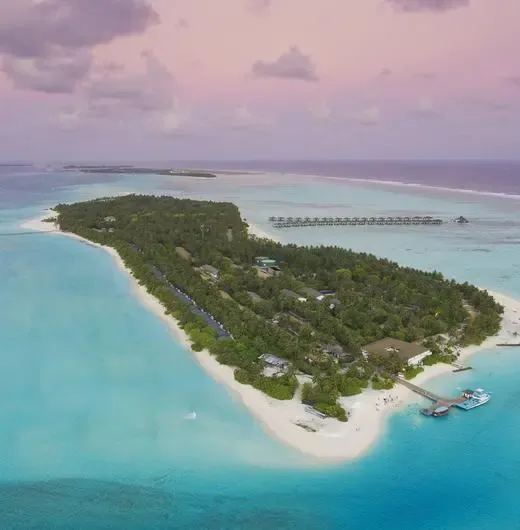 image-https://maldivus.ru/media/hotels/135/image/520x530/sun-island-resort-spa-5-hotel-42190.webp