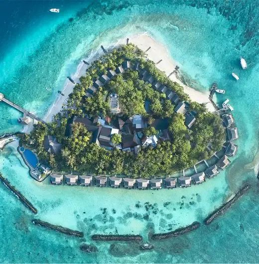 image-https://maldivus.ru/media/hotels/140/image/520x530/taj-coral-reef-resort-spa-5-hotel-71498.webp