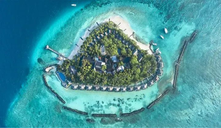 Taj Coral Reef Resort & Spa 5*