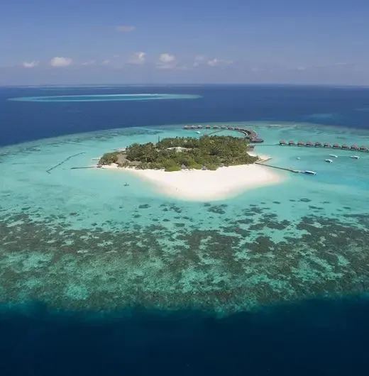 image-https://maldivus.ru/media/hotels/148/image/520x530/thulhagiri-island-resort-spa-4-hotel-7965.webp