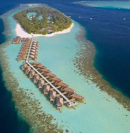 image-https://maldivus.ru/media/hotels/155/image/520x530/vilamendhoo-island-resort-spa-4-hotel-74602.webp