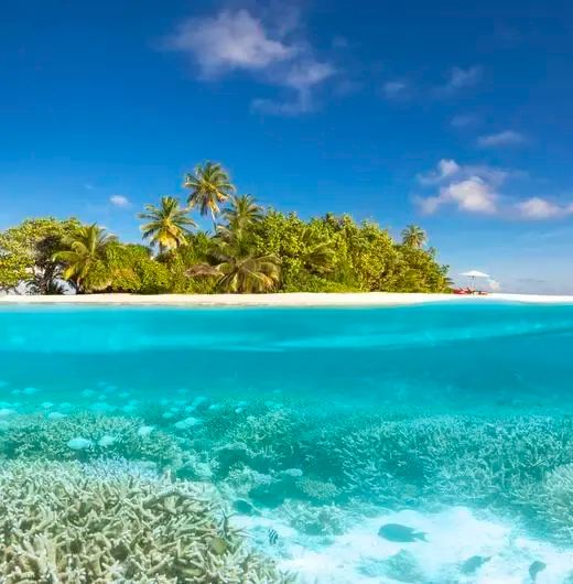 image-https://maldivus.ru/media/hotels/156/image/520x530/w-maldives-5-hotel-2913.webp