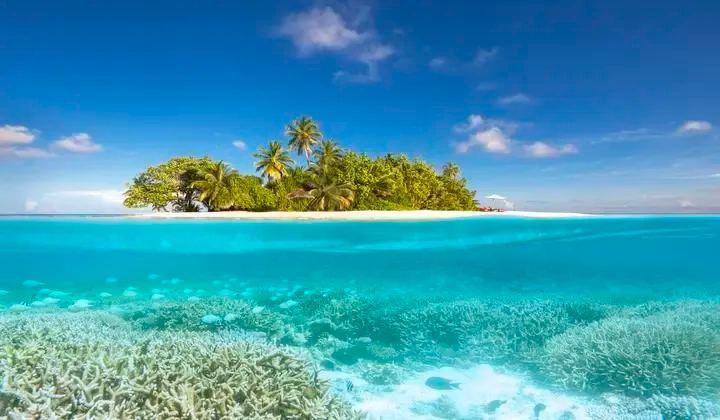 W Maldives 5*
