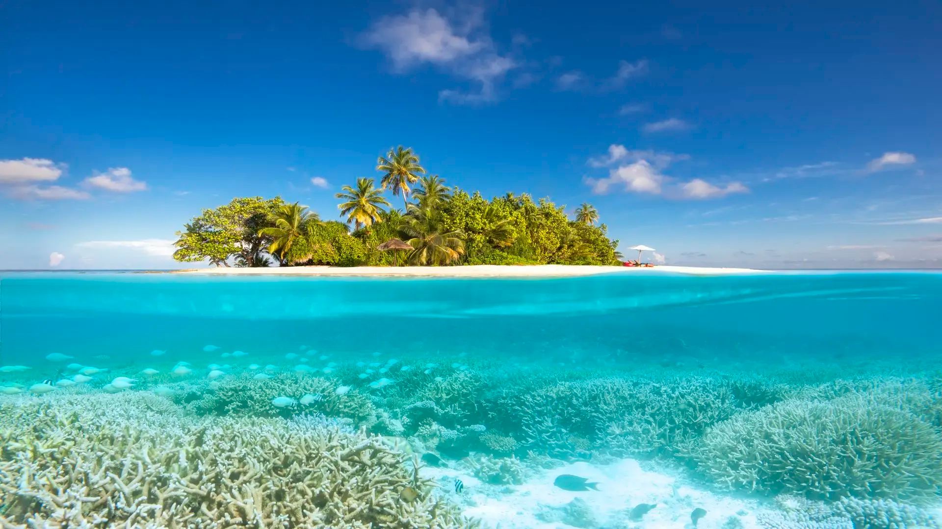 W Maldives, атолл Ари