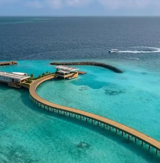 image-https://maldivus.ru/media/hotels/166/image/520x530/alila-kothaifaru-maldives-5-hotel-73648.webp