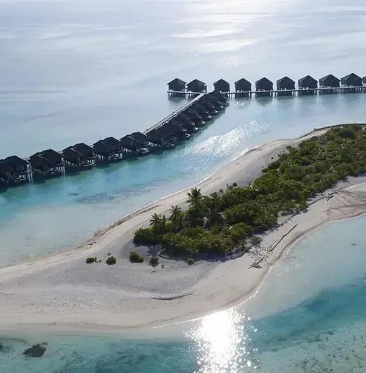 image-https://maldivus.ru/media/hotels/167/image/520x530/anantara-veli-maldives-resort-5-hotel-95318.webp