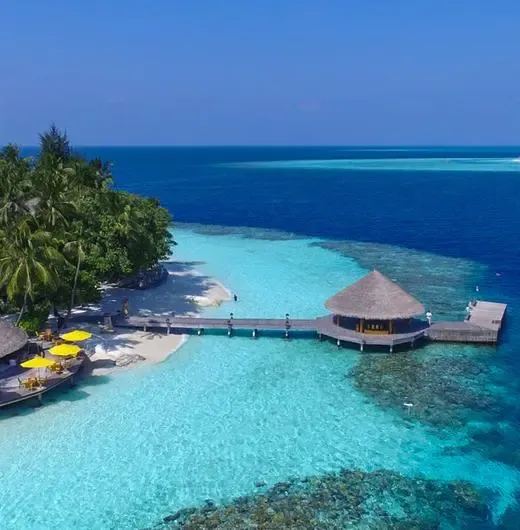 image-https://maldivus.ru/media/hotels/168/image/520x530/angsana-ihuru-5-hotel-53491.webp