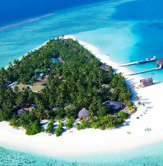 image-https://maldivus.ru/media/hotels/169/image/520x530/angsana-velavaru-5-hotel-51128.webp