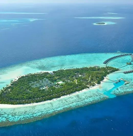 image-https://maldivus.ru/media/hotels/17/image/520x530/ayada-maldives-5-hotel-10843.webp