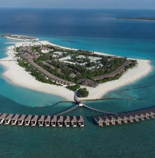 image-https://maldivus.ru/media/hotels/170/image/520x530/brennia-kottefaru-maldives-5-hotel-2300.webp