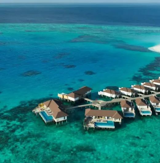 image-https://maldivus.ru/media/hotels/174/image/520x530/avani-fares-maldives-resort-5-hotel-90101.webp