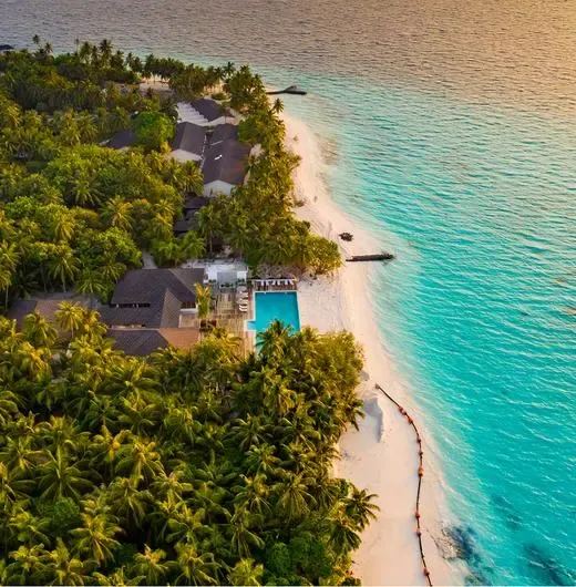 image-https://maldivus.ru/media/hotels/175/image/520x530/fiyavalhu-maldives-4-hotel-85724.webp