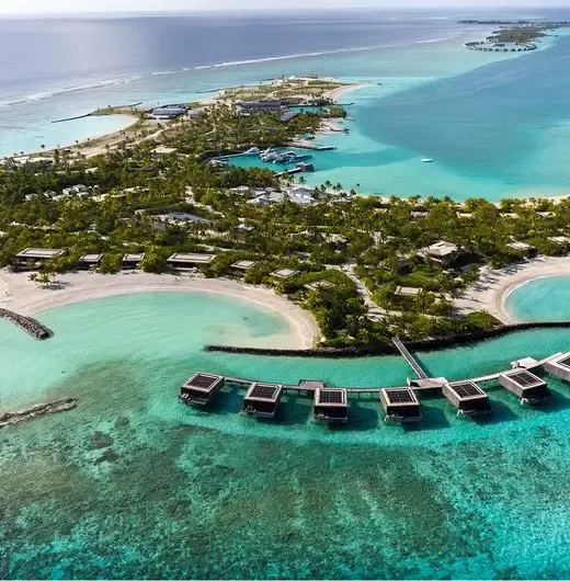 image-https://maldivus.ru/media/hotels/185/image/520x530/patina-maldives-fari-islands-5-hotel-94584.webp