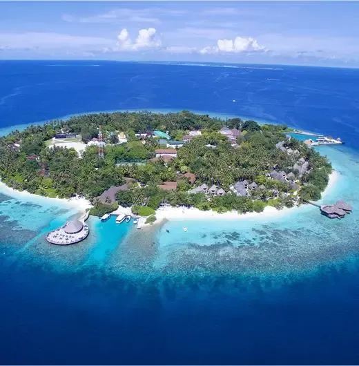 image-https://maldivus.ru/media/hotels/19/image/520x530/bandos-maldives-4-hotel-10051.webp