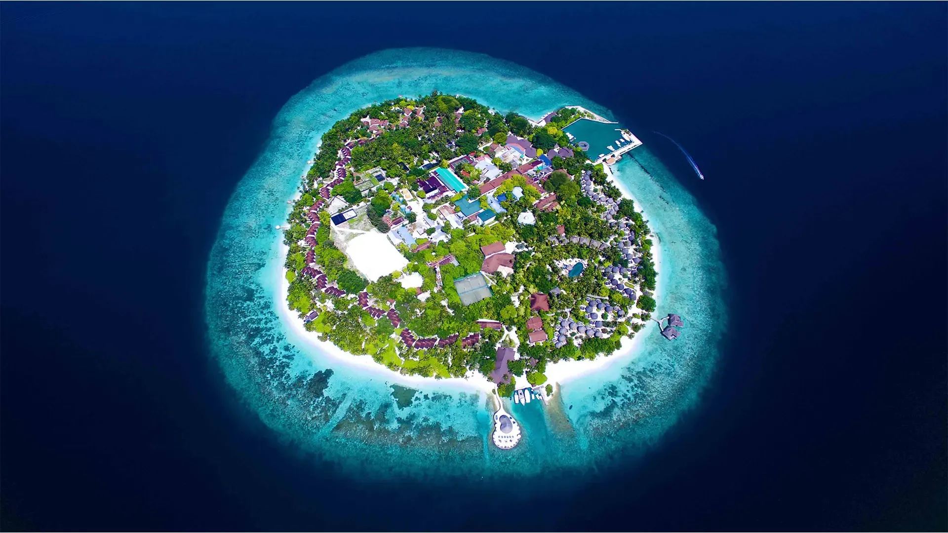 Bandos Maldives, атолл Каафу