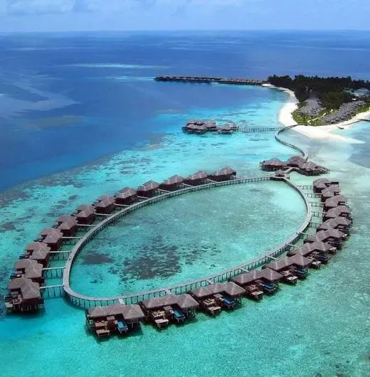 image-https://maldivus.ru/media/hotels/32/image/520x530/coco-bodu-hithi-5-hotel-2127.webp