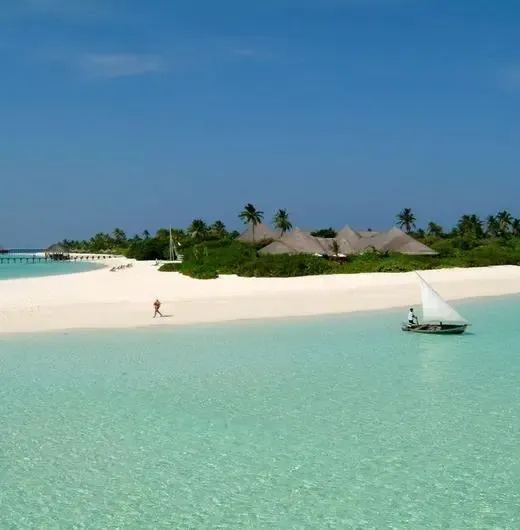 image-https://maldivus.ru/media/hotels/33/image/520x530/coco-palm-dhuni-kolhu-5-hotel-15994.webp