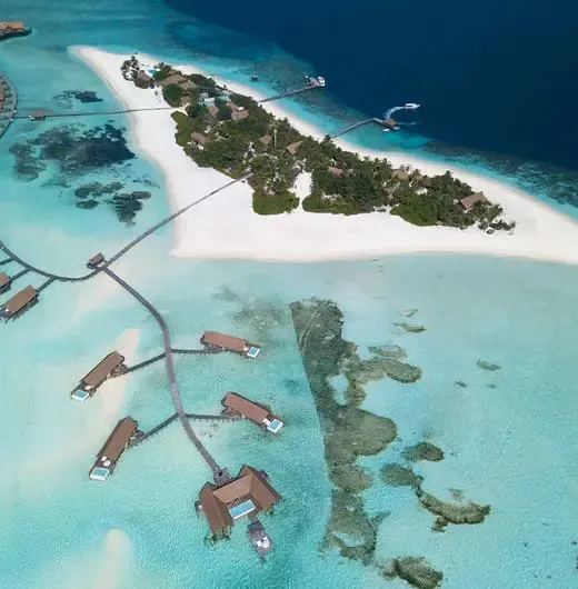 image-https://maldivus.ru/media/hotels/35/image/520x530/como-cocoa-island-5-hotel-70354.webp