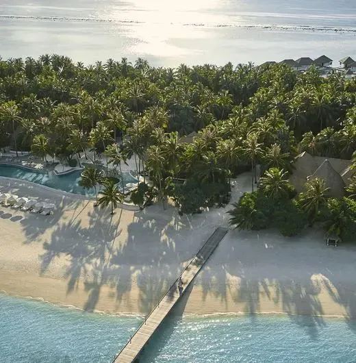 image-https://maldivus.ru/media/hotels/36/image/520x530/como-maalifushi-5-hotel-1619.webp