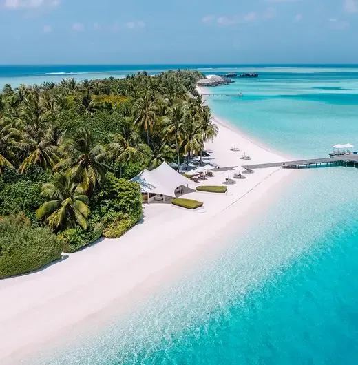 image-https://maldivus.ru/media/hotels/37/image/520x530/conrad-maldives-rangali-island-5-hotel-14767.webp