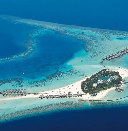 image-https://maldivus.ru/media/hotels/39/image/520x530/constance-moofushi-maldives-5-hotel-1208.webp