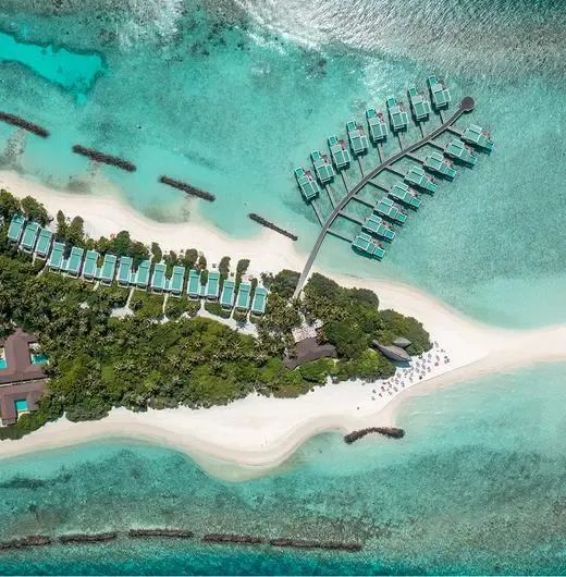 image-https://maldivus.ru/media/hotels/40/image/520x530/dhigali-maldives-5-hotel-53963.webp