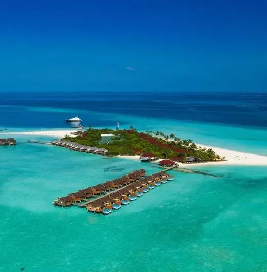 image-https://maldivus.ru/media/hotels/41/image/520x530/dhigufaru-island-resort-5-hotel-30578.webp