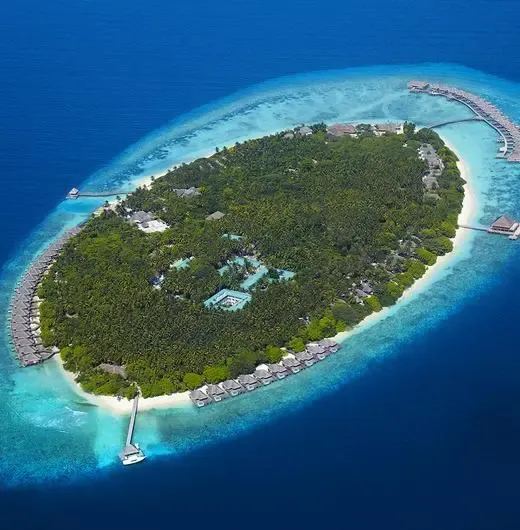 image-https://maldivus.ru/media/hotels/46/image/520x530/dusit-thani-maldives-5-hotel-76821.webp