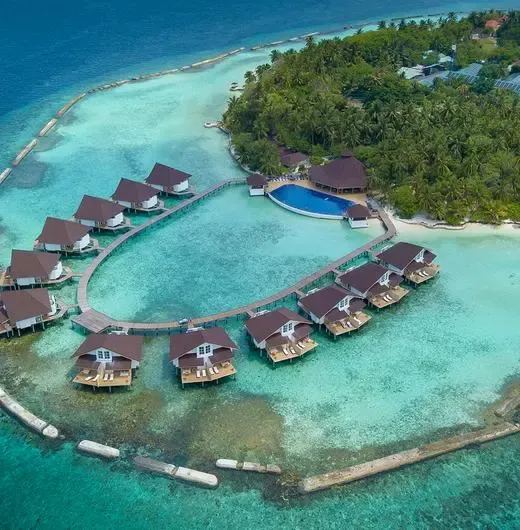 image-https://maldivus.ru/media/hotels/48/image/520x530/ellaidhoo-maldives-by-cinnamon-4-hotel-69076.webp