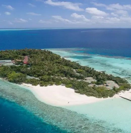 image-https://maldivus.ru/media/hotels/49/image/520x530/embudu-village-3-hotel-88453.webp