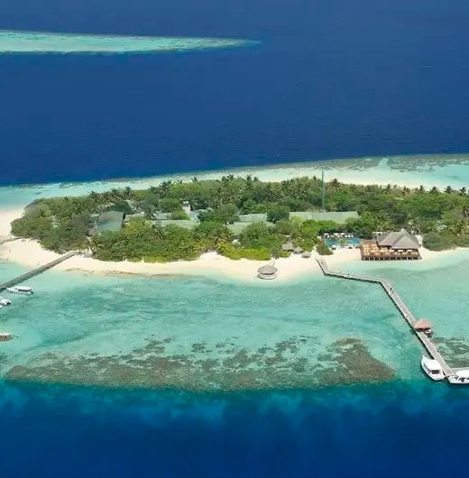 image-https://maldivus.ru/media/hotels/51/image/520x530/eriyadu-island-resort-3-hotel-23671.webp