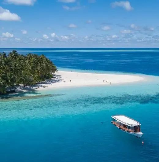 image-https://maldivus.ru/media/hotels/54/image/520x530/fihalhohi-island-resort-4-hotel-31470.webp
