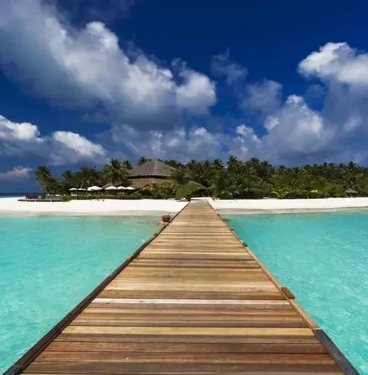 image-https://maldivus.ru/media/hotels/55/image/520x530/filitheyo-island-resort-4-hotel-5768.webp