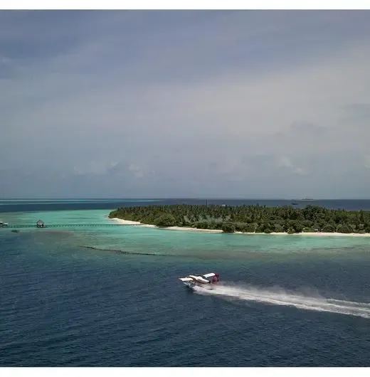 image-https://maldivus.ru/media/hotels/61/image/520x530/furaveri-maldives-5-hotel-75848.webp