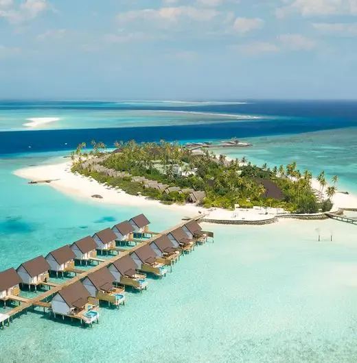 image-https://maldivus.ru/media/hotels/62/image/520x530/fushifaru-maldives-5-hotel-21936.webp